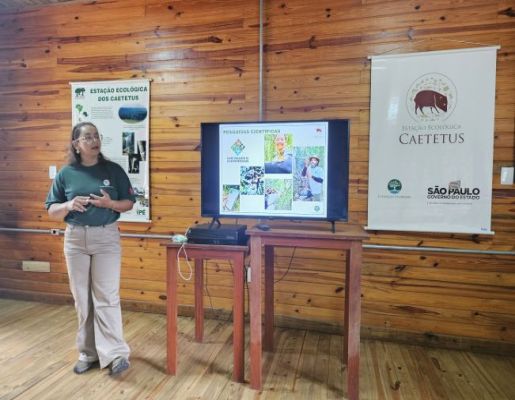 Câmara Técnica dos Gestores Integrantes do Consórcio